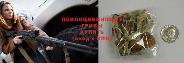 ПСИЛОЦИБИНОВЫЕ ГРИБЫ Беломорск
