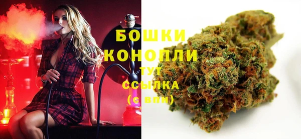 ПСИЛОЦИБИНОВЫЕ ГРИБЫ Беломорск