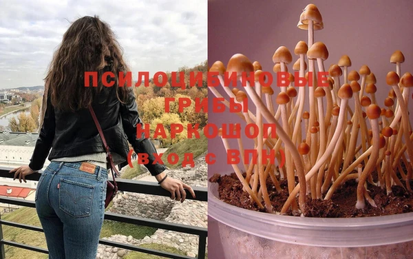 ПСИЛОЦИБИНОВЫЕ ГРИБЫ Беломорск