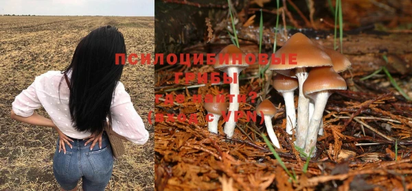 ПСИЛОЦИБИНОВЫЕ ГРИБЫ Беломорск
